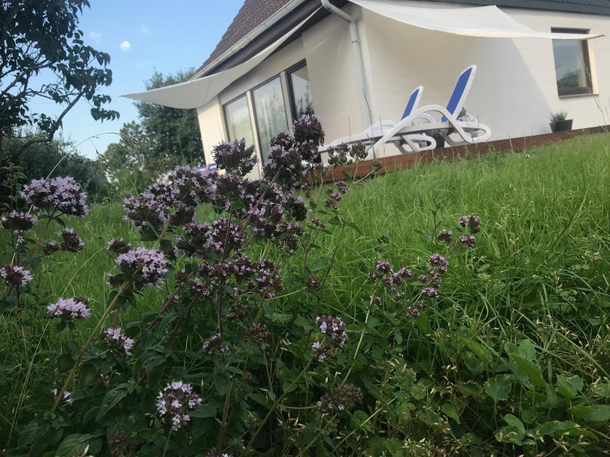 Casa Marcu Wohnung 2 Eg Landkirchen Exteriér fotografie